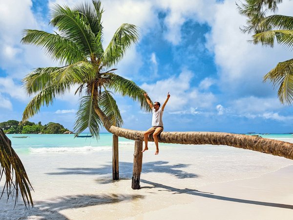 Crafting the Perfect Camping Adventure: A Guide to Exploring UK Botanical Gardens Along the Way