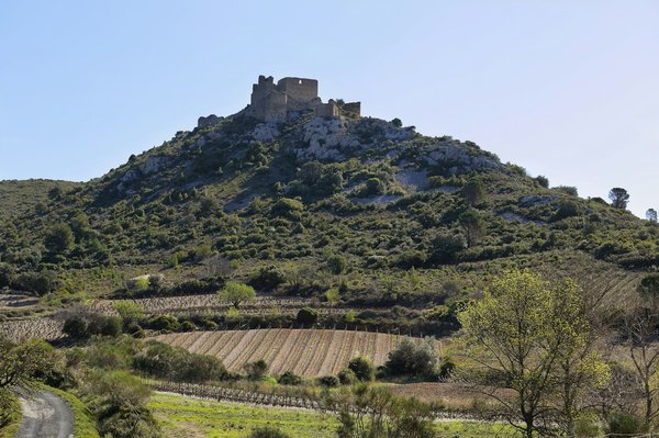 Exploring the Top UK Sites for Guided Tours Uncovering the Rich History of British Trade Unions